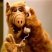 Sir-Alf