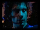V�deo: Rise Against - Like The Angel