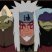 Agguuss605 - Chicos aqui les dejo como descargar c/personaje de naruto ultimate ninja 5! consulten :p