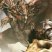 Monsterhunter98