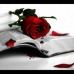 Poemas a domicilio