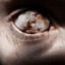 -The Night of Terror-