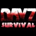 DAY Z