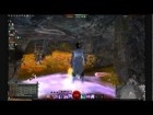 V�deo: Guild Wars 2 Secreto! Gatitos y un ni�o autista