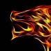 FIREWOLF-007
