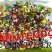 -Nintendo-Everywhere-