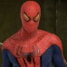 Grupo: Todo spiderman