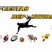 Apuestas deportivas