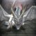 Fatalis-quest