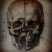 Skullcalabra