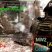 Gunner-XG-97 - Recopilacion de ventajas Pro' MW2