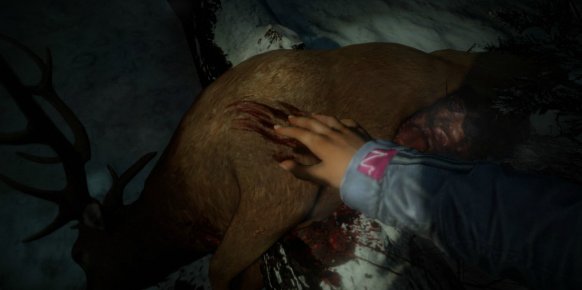 Until Dawn